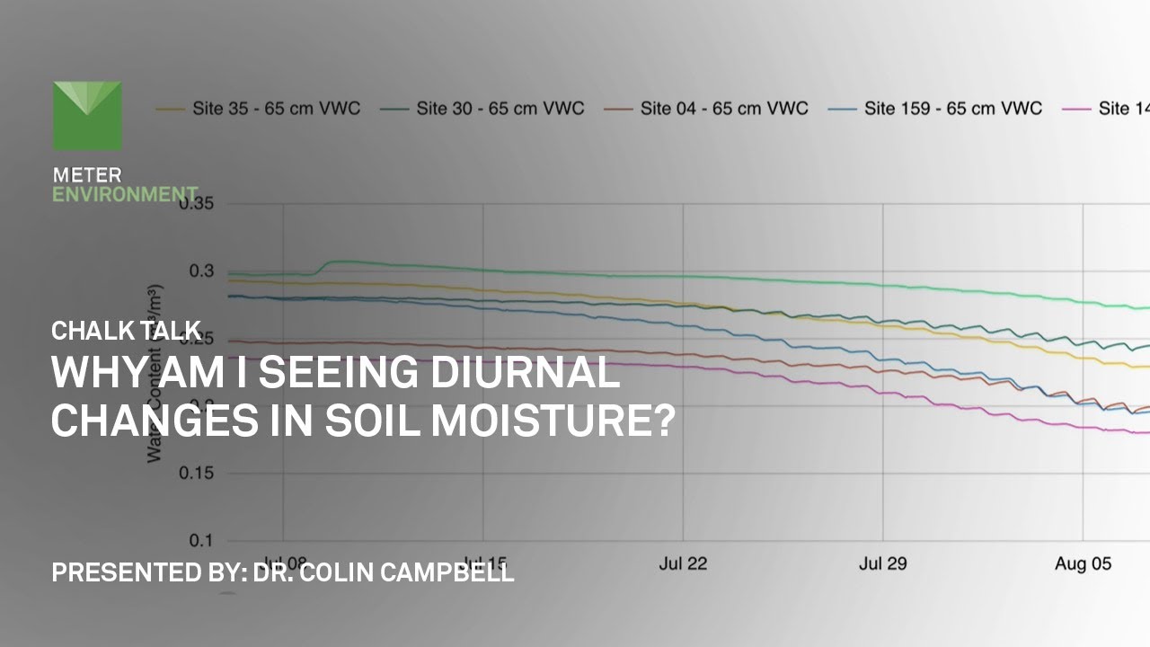 Hydraulic Redistribution - Why am I seeing diurnal changes in soil moisture?  - Chalk talk by METER