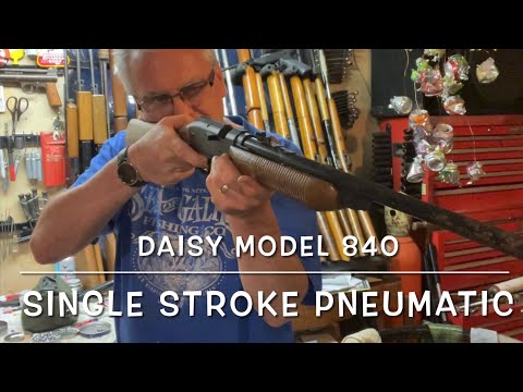 1986 Daisy model 840 single stroke pneumatic BB/pellet gun full review and plinking