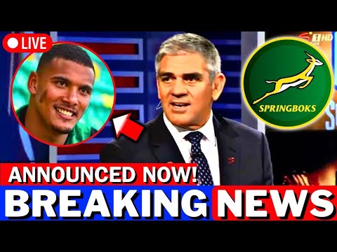 🚨 URGENT! GOOD NEWS FOR SPRINGBOKS FANS! SEE WHAT HAPPENED! WOW INCREDIBLE! SPRINGBOKS NEWS