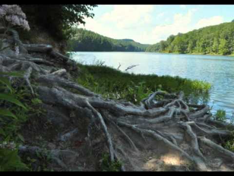 Relax to the Bible - Psalm 23