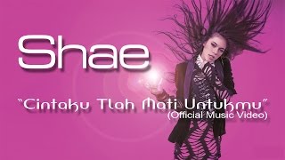 Download lagu SHAE - Cintaku Tlah Mati Untukmu mp3