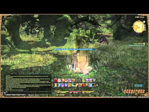 Final Fantasy XIV  A Realm Reborn - Lancer Lv 20 Quest - Lance of Destiny