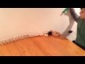 Nate Payton And Zack Rube Goldberg Machine 2013
