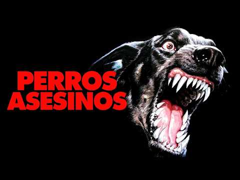 PERROS DEL INFIERNO | TELEPELICULAS | PELICULAS DE ACCION COMPLETAS EN ESPANOL LATINO