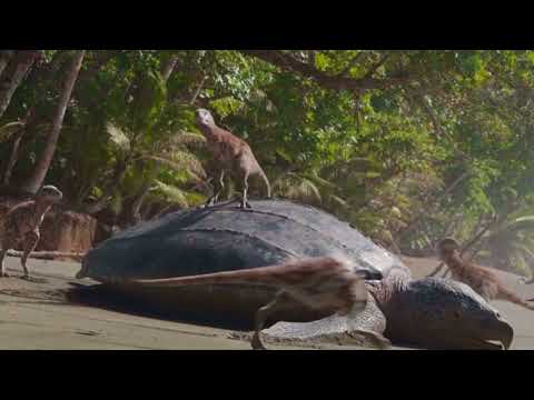 Tyrannosaurus REX eating a Turtle