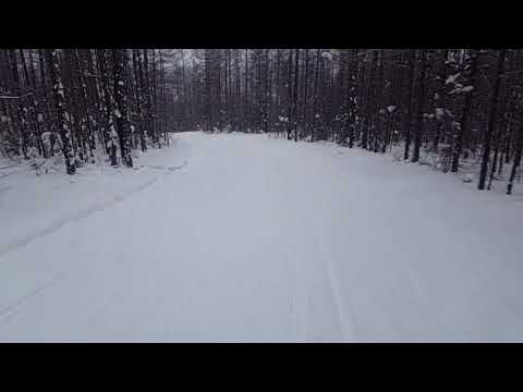 Mirny. Sakha. Cross country skiing