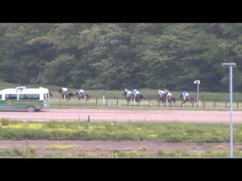 Duindigt 23-06-2013 Koers 4