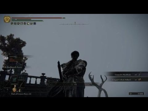 Elden Ring Crushing The Black Blade Kindred with Wolves