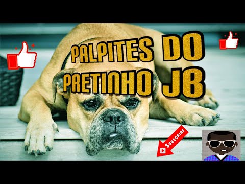 PALPITES DO PRETINHO JB 14/04/2020 - JOGO DO BICHO