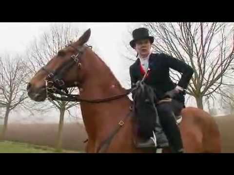 download lagu mp3 mp4 Sale Side Saddle, download lagu Sale Side Saddle gratis, unduh video klip Sale Side Saddle