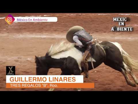 EXCELENCIA CHARRA 2019 FINAL - JINETEO DE YEGUA -  GUILLERMO LINARES - 3 REGALOS "B"