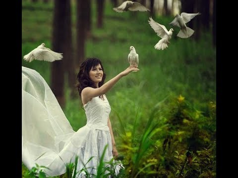 AWANA-Duhul Domnului