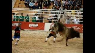 preview picture of video 'O FILHO DO LENDÁRIO BOI BANDIDO. BARRETOS 2012'