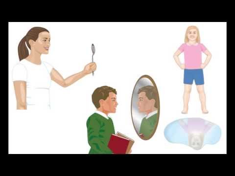 光と光学 - 光の相互作用 (Light and Optics - Interactions of Light)