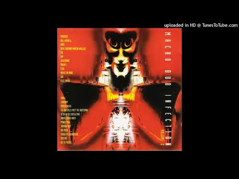 The Disciples Meet The Rootsman - Conscious Yout' (Remix)