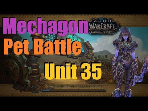 Unit 35 - Mechagon Pet Battle Guide - World of Warcraft