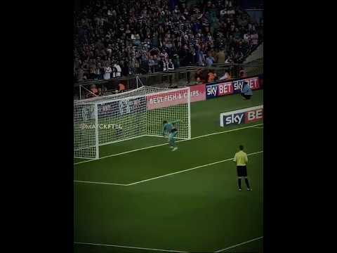 Other Goalkeepers + This Goalkeeper