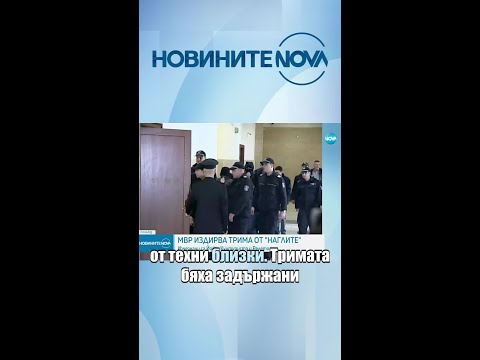 "Наглите" изчезнаха, близките им ги обявиха за издирване #novinitenanova #novatv #nova #наглите
