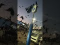Insane Amount Of Crows Takeover Parking Lot