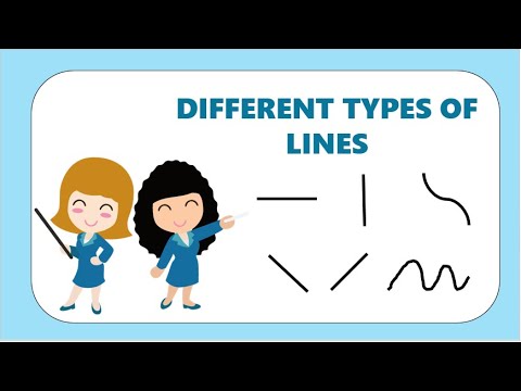 Learn the Different Types of Lines | Math For Kids | Kindergarten Lessons