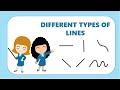 Learn The Different Types Of Lines Math For Kids Kindergarten Lessons