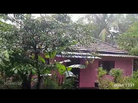 Mazha njaanarinjilla... #mazha