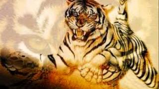 ANN PEEBLES  ..   GIVE ME SOME CREDIT  ...