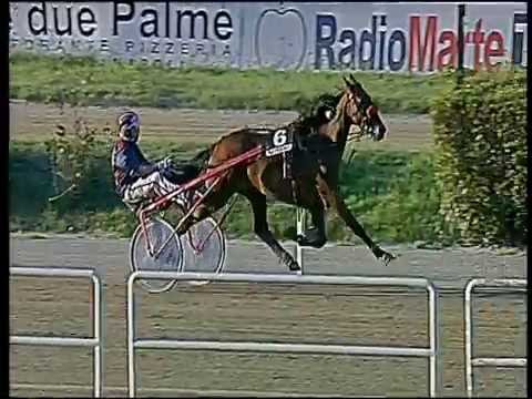 Trotto 30/09/2016 - 5ª corsa