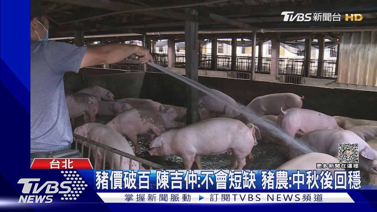 炒漲價？畜產公司指「養胖」延後交貨　豬農駁