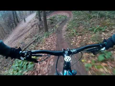 Weißhauswald, Trier,  MTB, DH