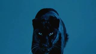 Sebastian Mikael - As Low As Me (Official Video)