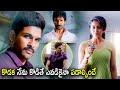 Allu Arjun Rakul Preet Singh New Telugu Mass Action Scene Allu Arjun Tollywood Pictures