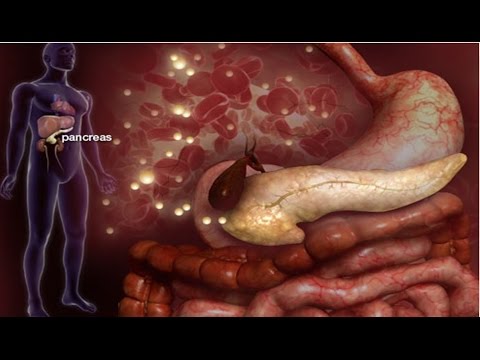 Liky per la prostata in Minds domashnіh Della prostata di screening clinica