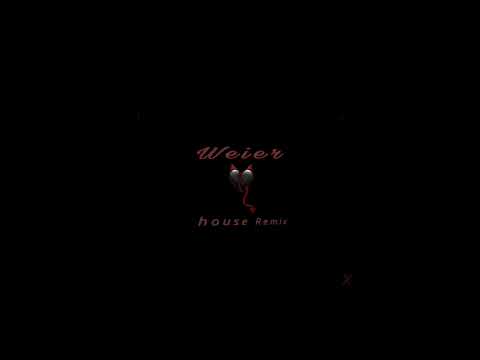 Riana Nel Weier House Remix 2024