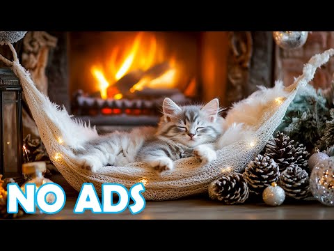 12 Hours of Soothing Music for Cats 🌿 Warm gentle melodies creating comfort and calm for Cats