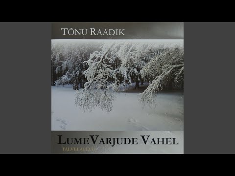 Lumevarjude Vahel - Tõnu Raadik
