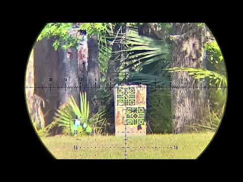 Fx Impact M3 .30 caliber hybrids hunting enemy paintballs at 150 yards