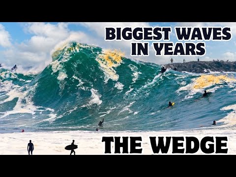 The Wedge | Best and Biggest Waves In Years | Compilation