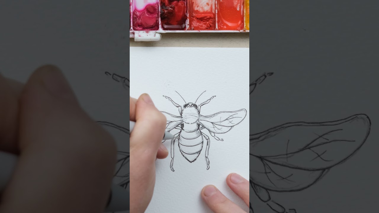 Come And Paint A Line And Watercolour Bumble Bee With Me!