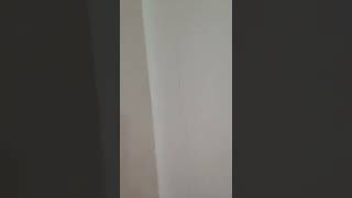 Tiktok trending challenge , visible Girl 🍓💋  #tiktok #tiktokchallenge #bigbank #fyp #usa #shorts