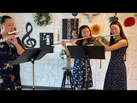 J. Haydn: London Trio for Two Flutes and Violincello, No. 1, 1st Mivement, Allegro moderato