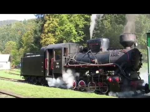 Dampflokfahrt durch die Waldkarpaten - Polen