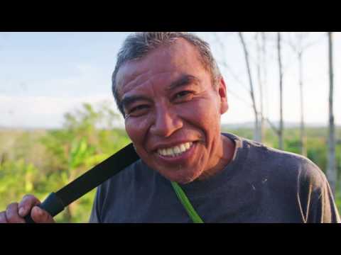 Belize: History & Culture