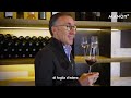 MANOR - La selezione di vini di Paolo Basso: Rosso Latino