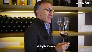 MANOR - La selezione di vini di Paolo Basso: Rosso Latino