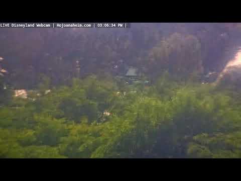 Live webcam of Disneyland Cam