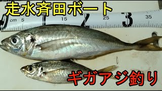 斉田ボート