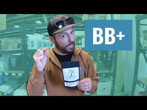 BuildASoil Product Highlight: WHAT IS BEAUVERIA BASSIANA