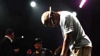 Deltron 3030- Melding of the Minds @ Prospect Park (Brooklyn), NYC