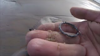 Beach Metal Detecting Hampton Beach Silvery Sunday